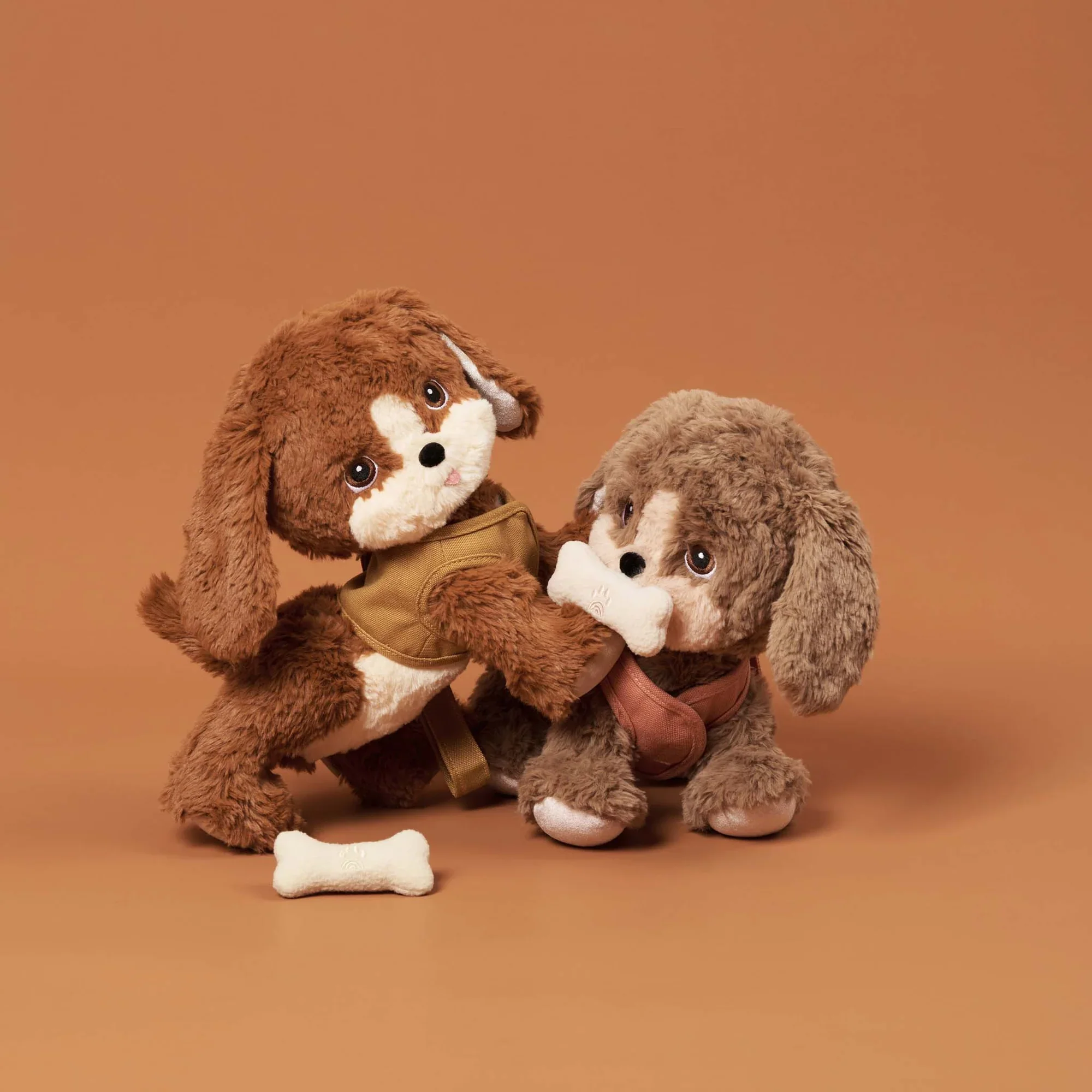 Dinkum Dogs - Buddy - Image 4