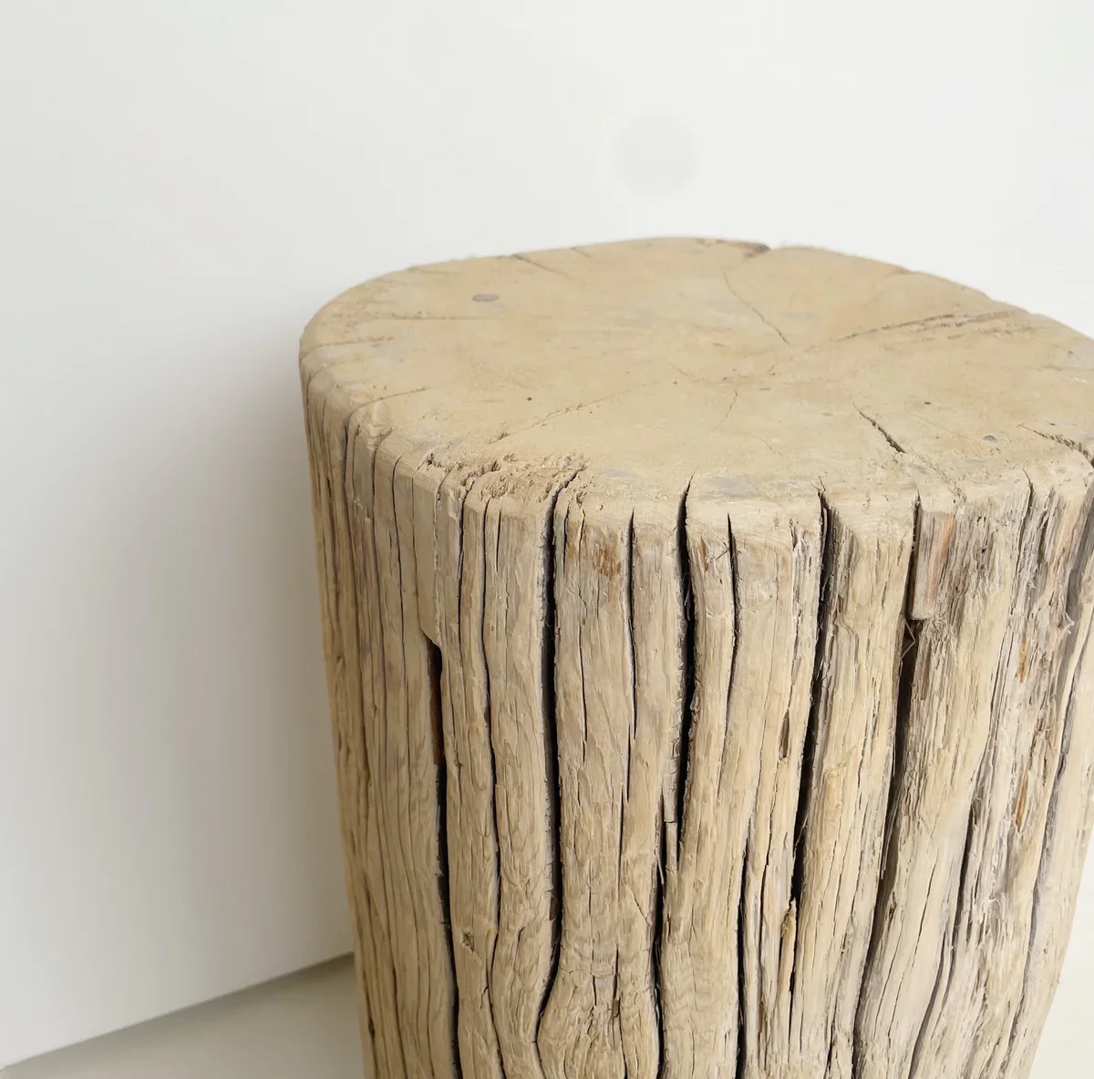Elm Stump - Image 3