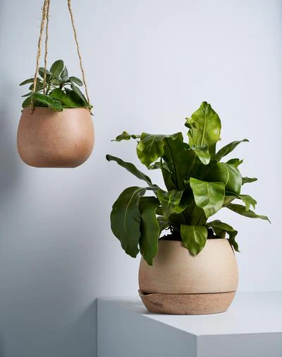 Hanging Planter - Small - Image 3