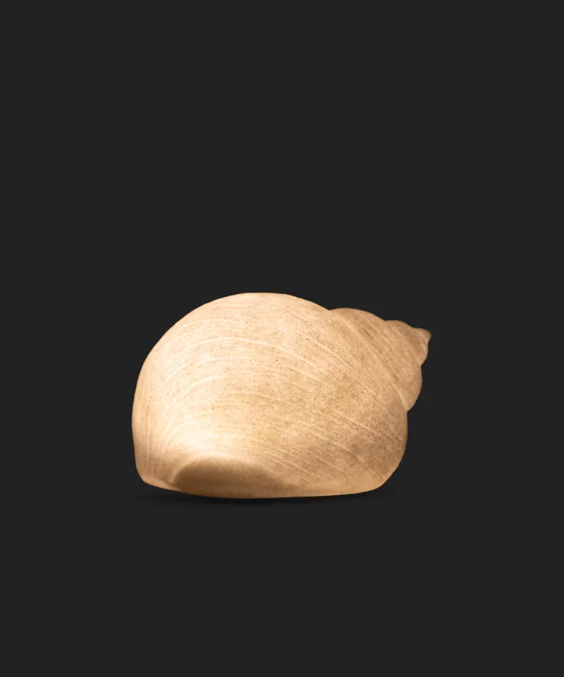 Light Up Decorative Snail Shell - Image 2